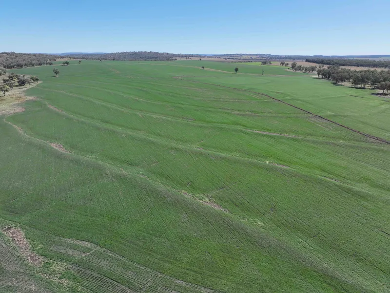 Large Cattle Breeding, Finishing & Cropping Platform