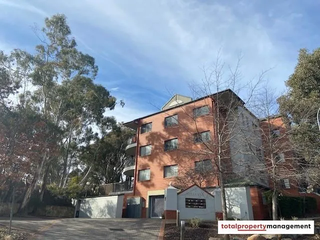 Extra large 3 bedroom Top Level Apartment