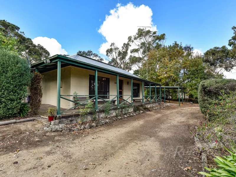 Country Lifestyle On The City Limits