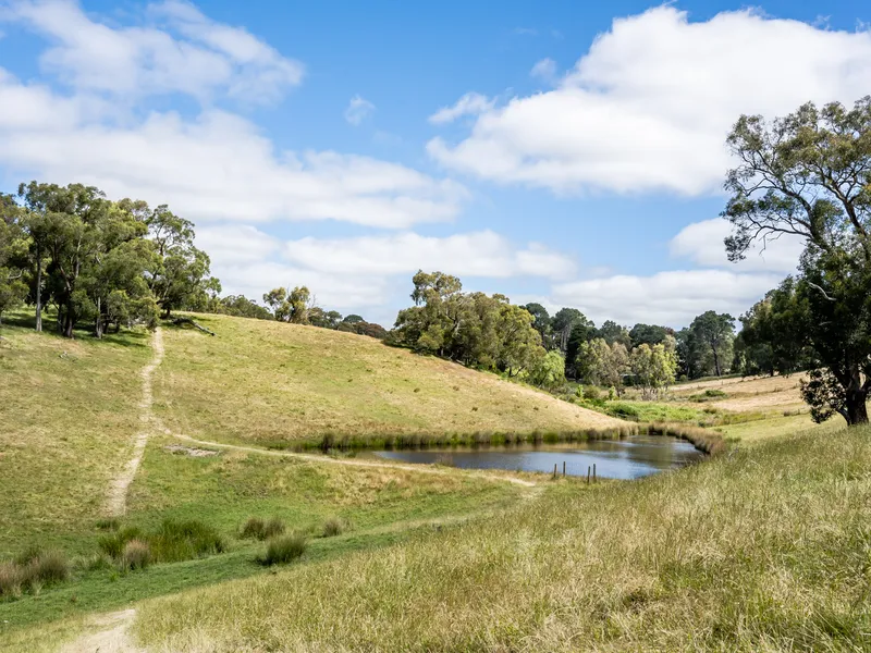 9.5 acres of prime land - endless opportunities!