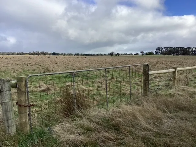 3.1Ha (approx. 7.66 acres); Fenced Pasture; Power Pit at front; Homesite within RAZ (STCA)