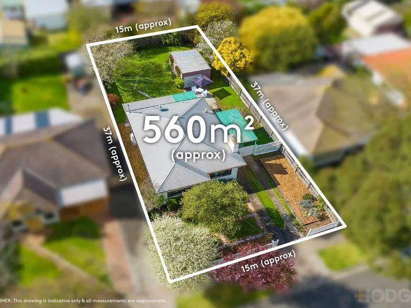 LITTLE GEM WITH BIG OPTIONS