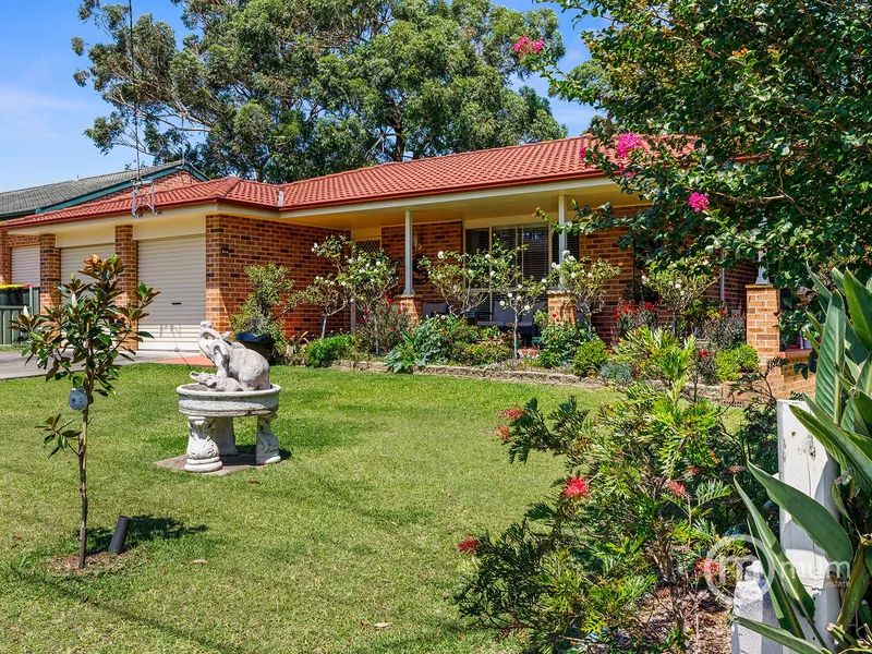 Immaculate Entertainer