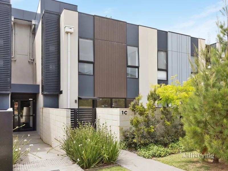 An Entertainers Delight