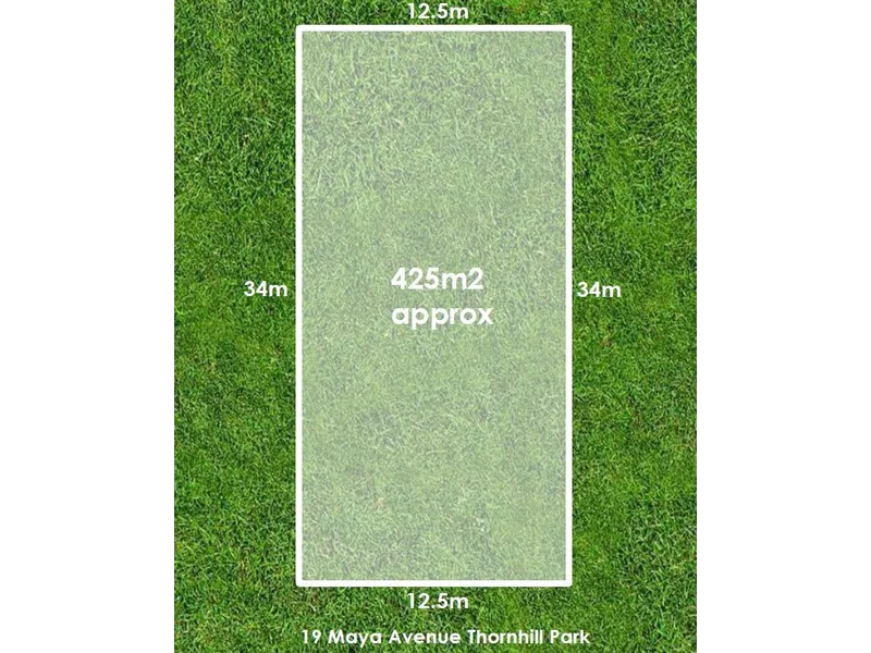 Your slice of Thornhill Park.