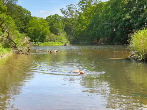Take Me To The River
