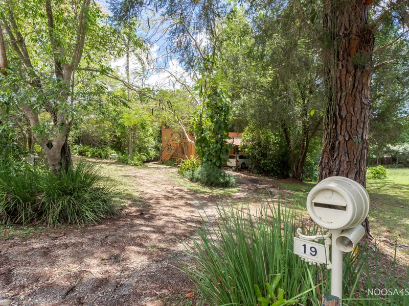 Big Block Big Potential