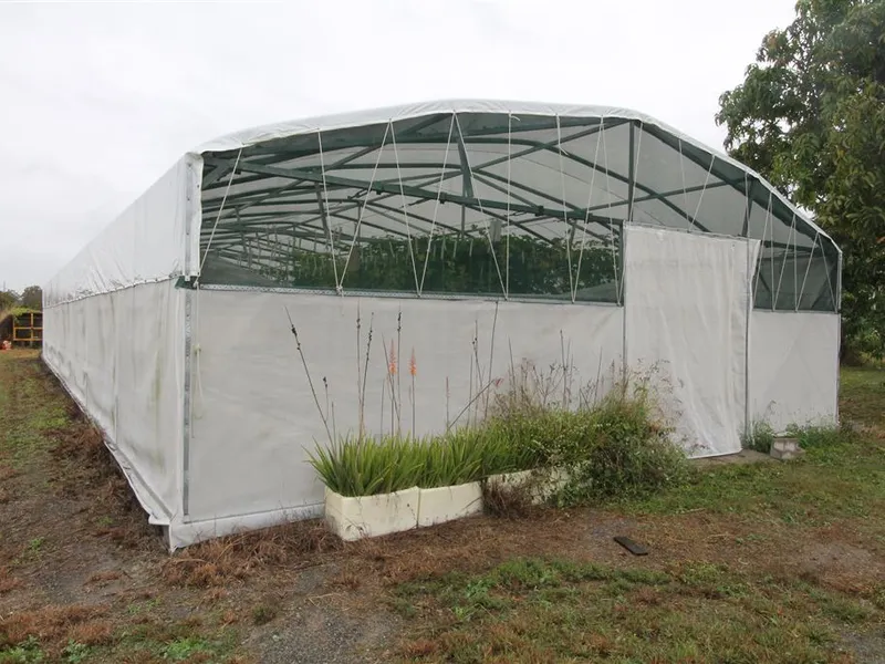 Rainbow Gardens - The Beautiful Edible Landscape