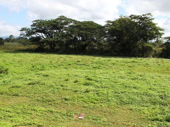 WALKING DISTANCE TO INGHAM CBD