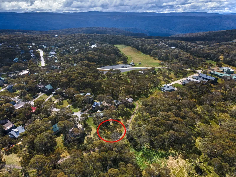 ON THE ALPINE NATIONAL PARK