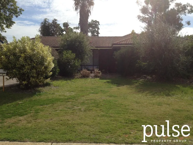 New Carpet & Freshly Painted!