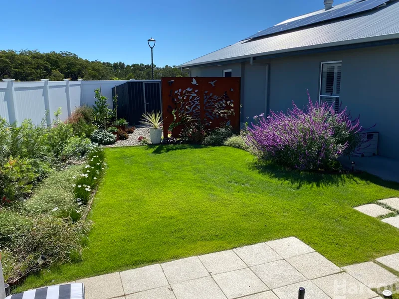 Let Your Dreams Become Reality Now