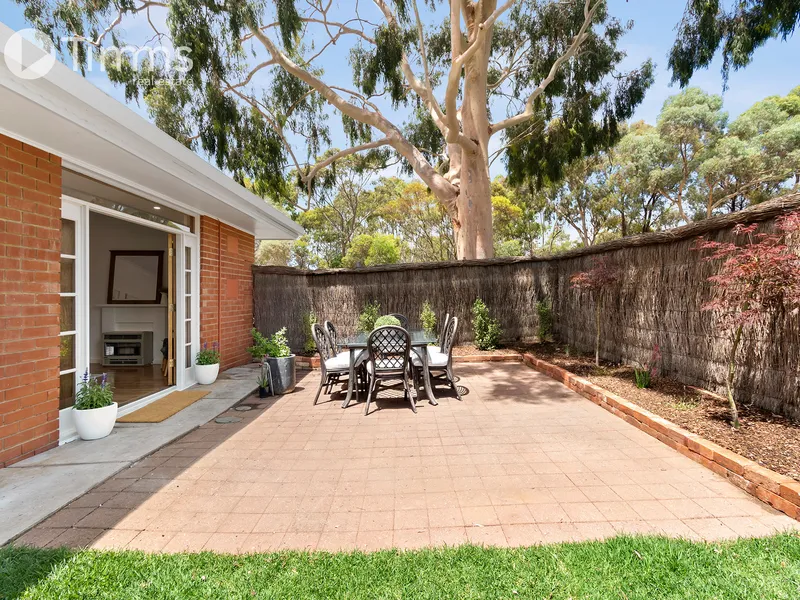 Charming Home Unit on The Park