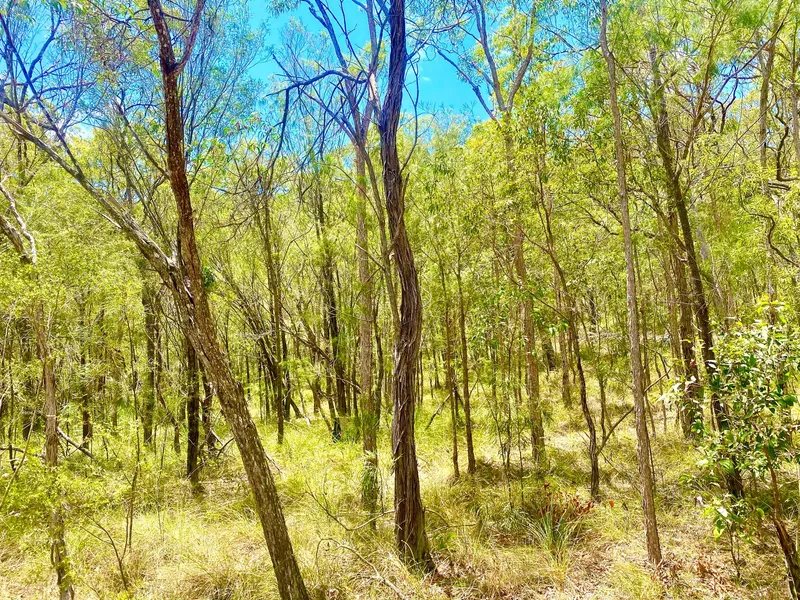 Gentle Slope unveils spectacular Cove Views to National Park