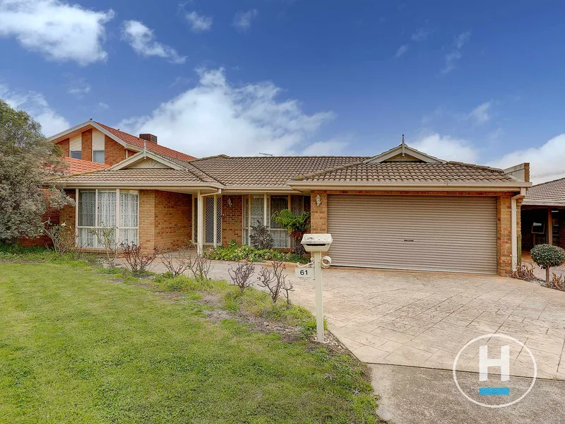 Drenched With Natural Sunlight!!