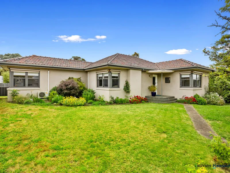 The perfect downsizer!