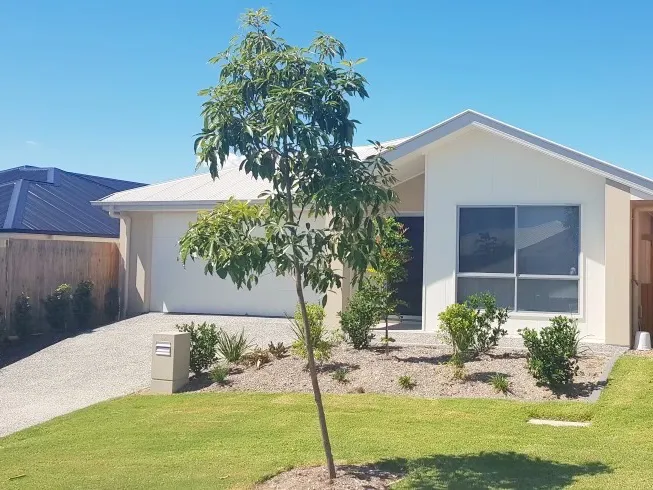 Fabulous and Brand New!