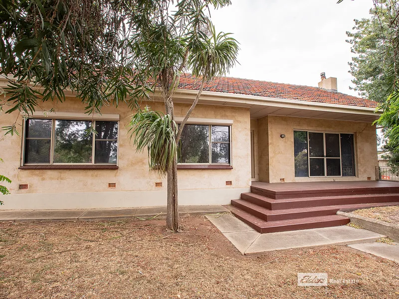 Entertainer’s Delight