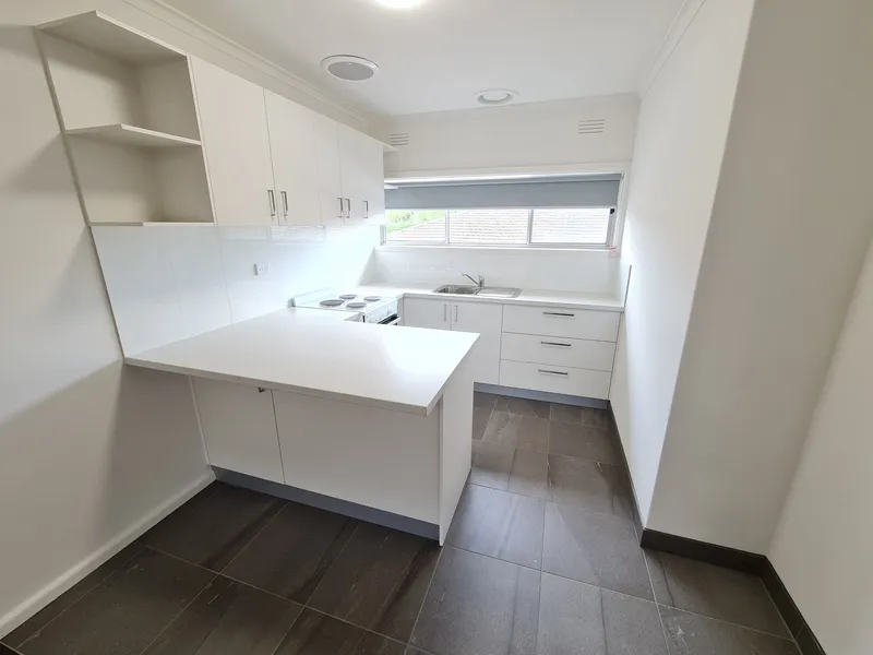 Newly Renovated and Spacious