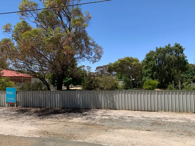 Large Allotment in a Prime Location!