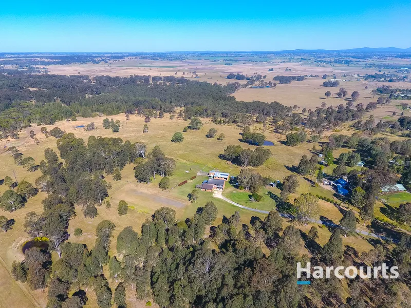 Make That Tree Change You've Always Dreamed About