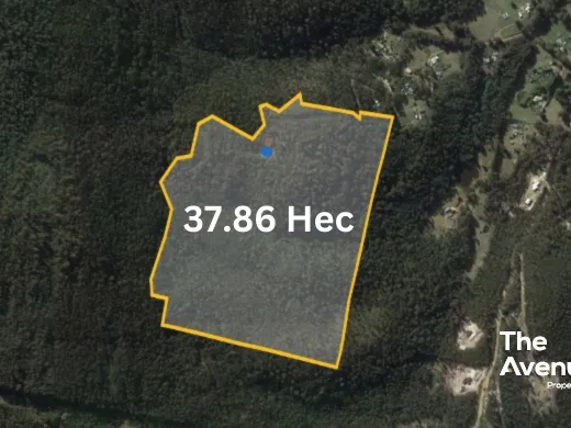 Closest to nature you will never get