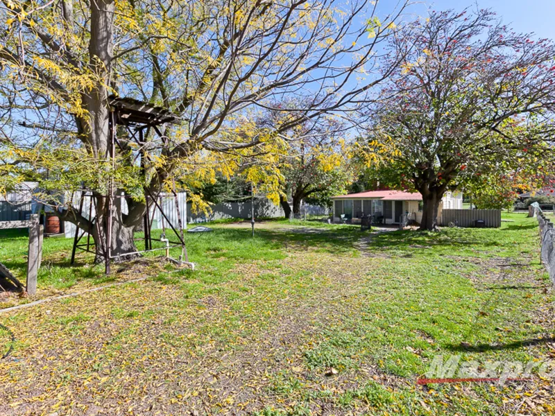 Huge 16,760m lot with cottage - BYO Horses and Sheep