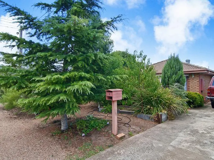 CHARACTER FILLED, BEAUTIFUL PRESENTATION & POSITIONED PERFECTLY!