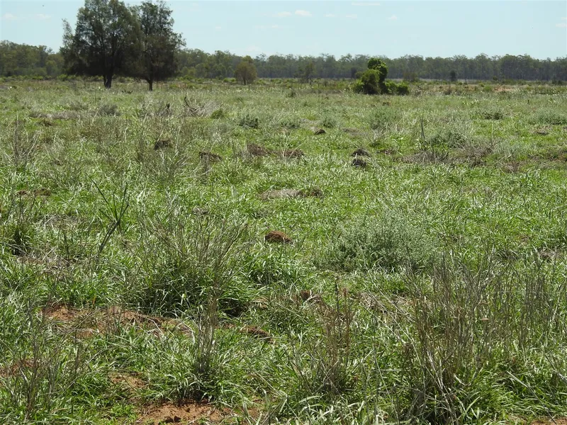 Handy easy to run additional Burra Burri cattle block
