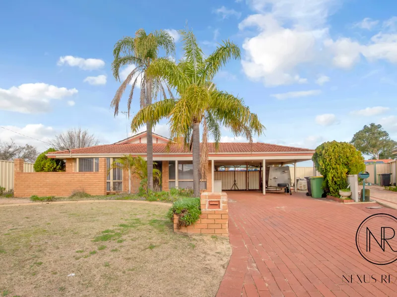 Your search ends here!