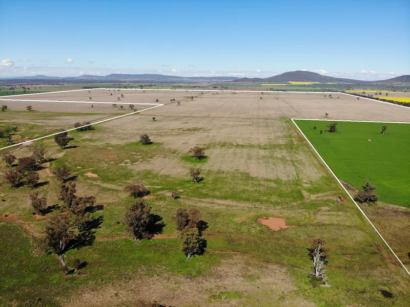 HIGH CARRYING CAPACITY, PASTURE IMPROVED HOLDING, CLOSE TO TOWN