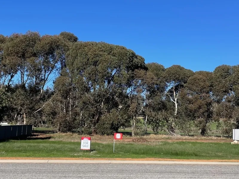 SHIRE AUCTION 25th of SEPTEMBER 2024