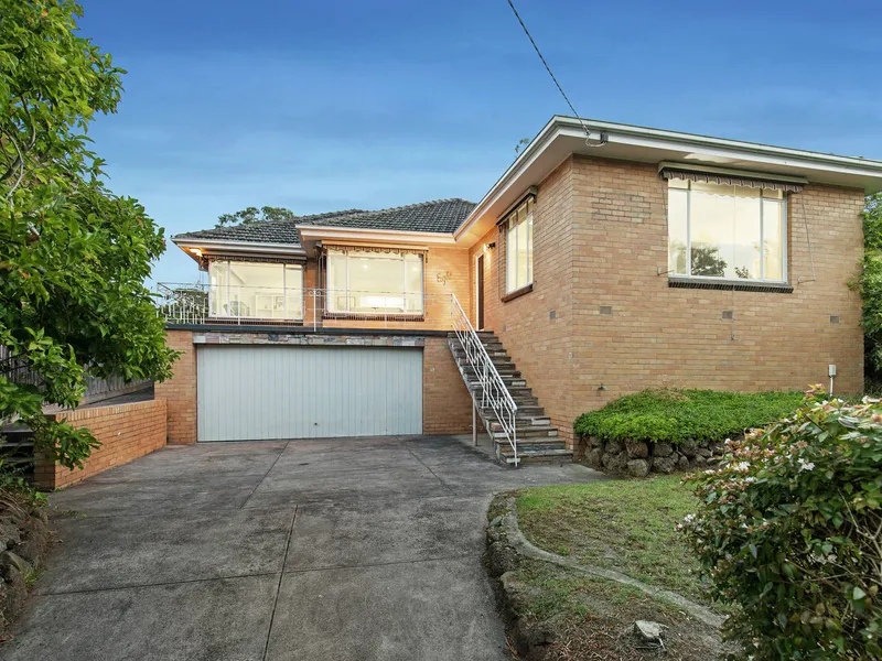 A Family Haven In The Treetops