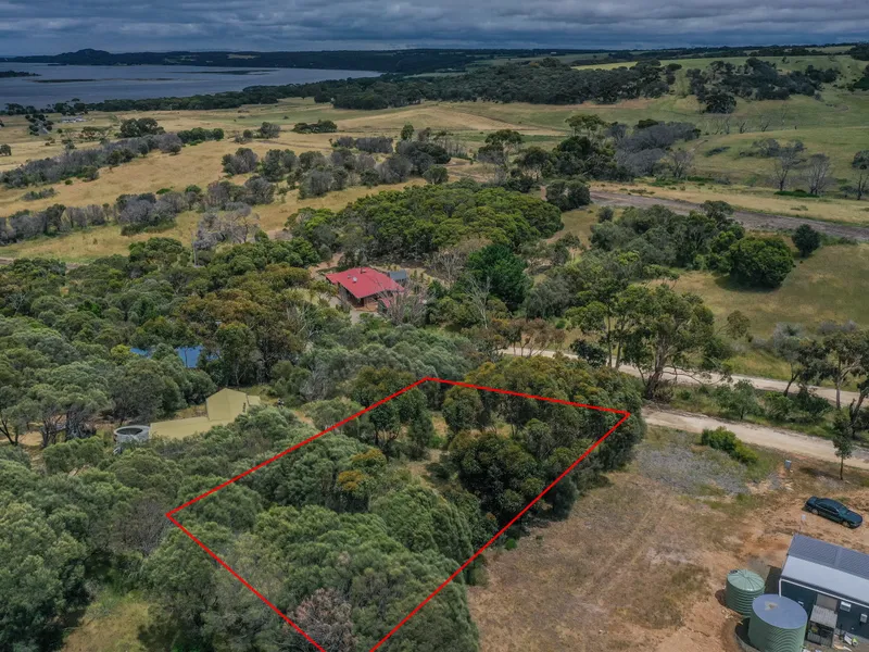 Affordable Land in American River!