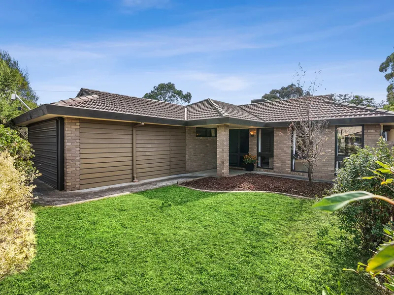 A Family Gem With Endless Potential