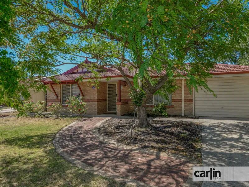 The Size will Surprise