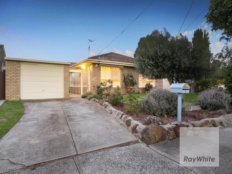 Family Focus Sitting in a Beautiful Family Friendly Court!