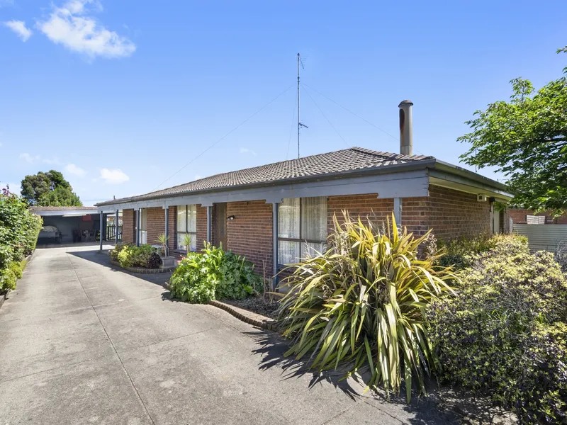 King Size Comfort For Your Large Family