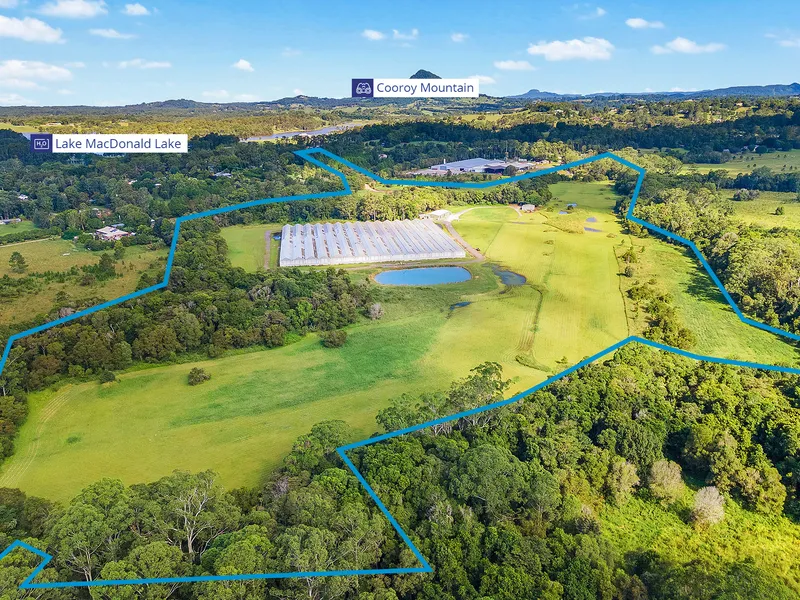 Noosa Hinterland Acreage with Lifestyle and Farm Income Opportunities