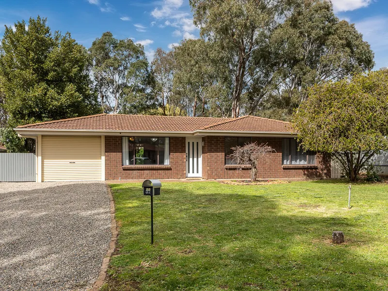 Tastefully updated home on a large lot with a shed!