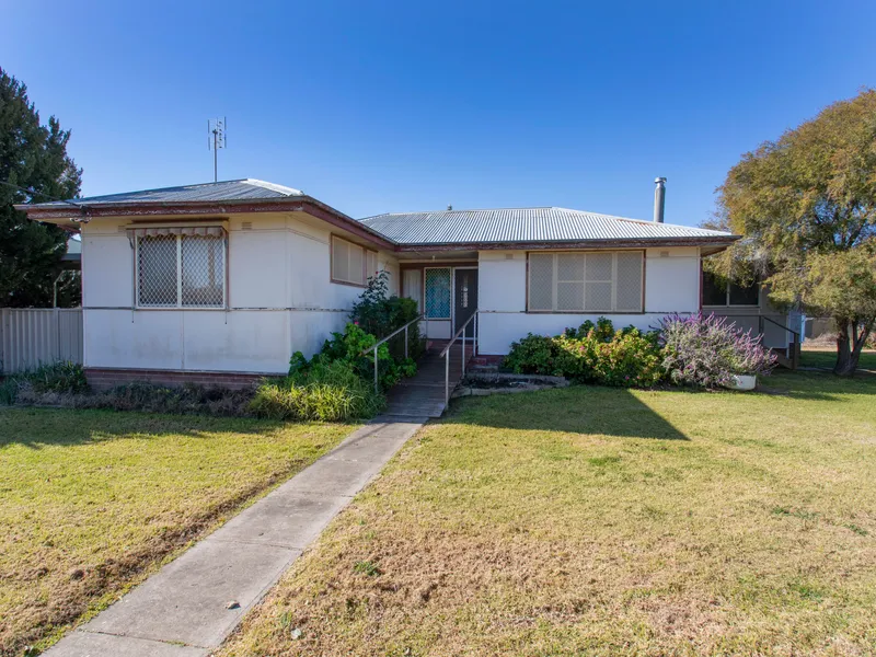 Entry Level Opportunity