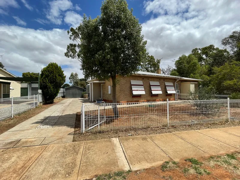 The Perfect Little Starter!