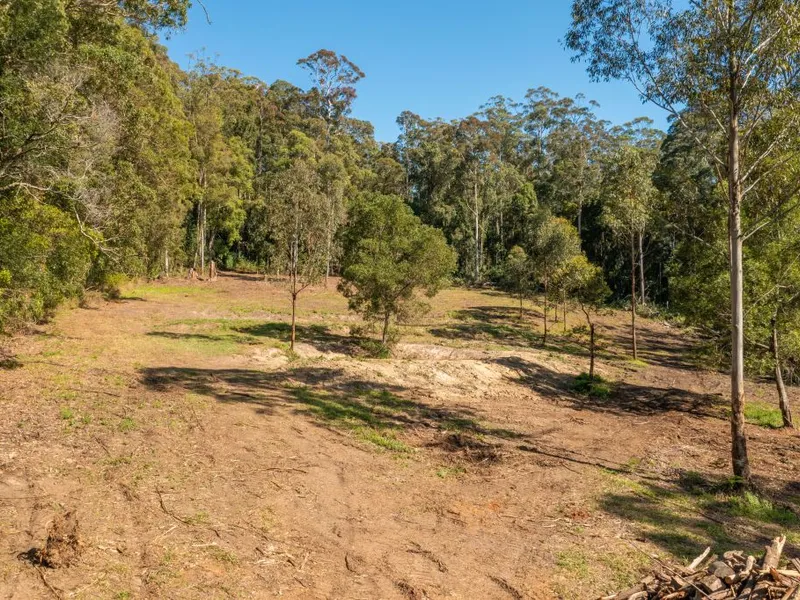 100 ACRES UNIQUE SEMI TROPICAL FOREST,ELEVATED MID NORTH COAST LOCATION. BUILDING ENTITLEMENT