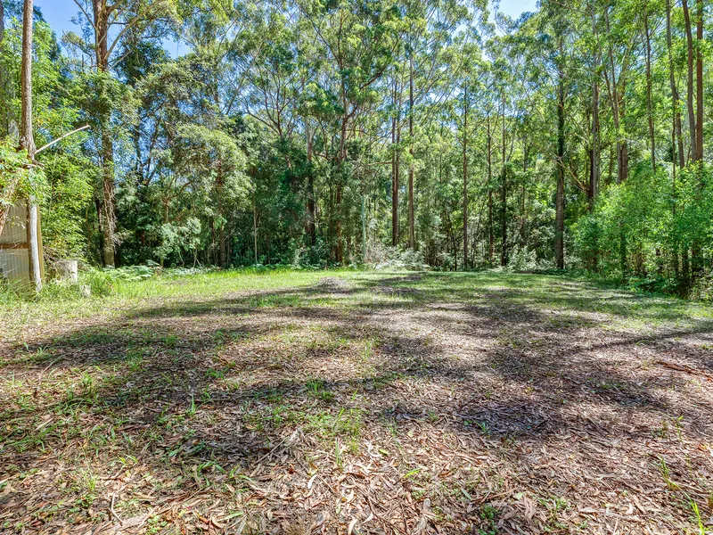 17 Acres of Pristine Forest with Cleared level Home site