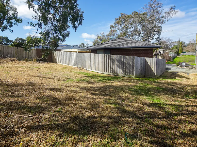 A Blank Canvas - Ready to Build!