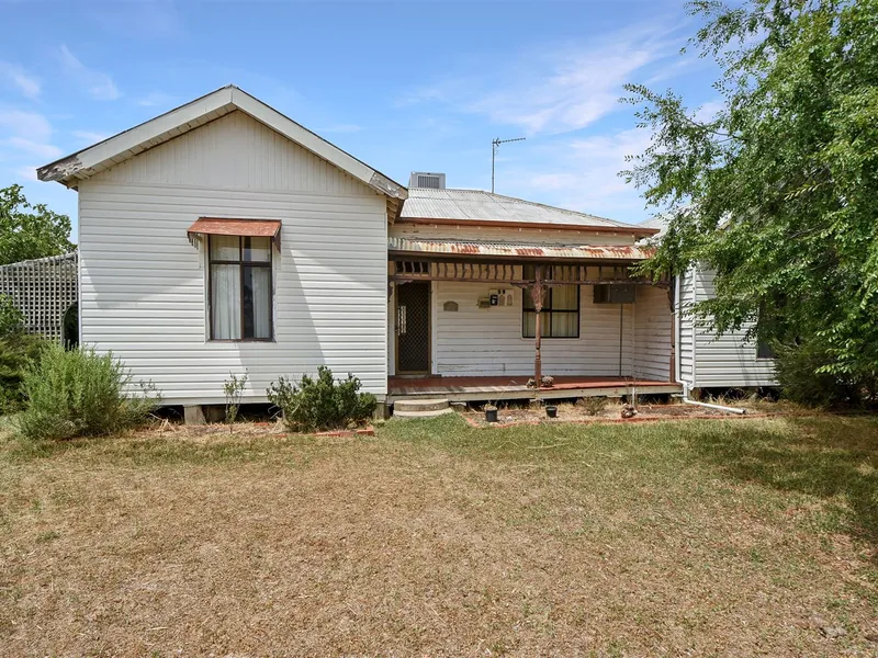 Lifestyle and more fruit than a greengrocers!