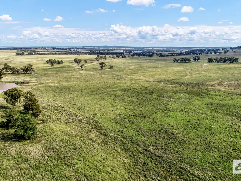 Established Grazing Country with Cropping and Pasture