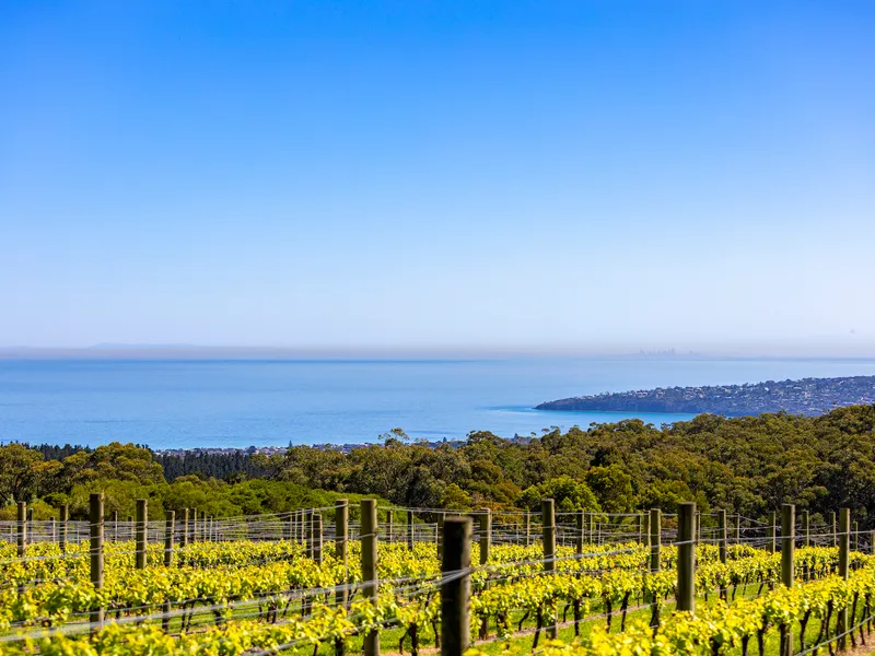 On Top of the World in Red Hill’s Most Spectacular Vantage Point