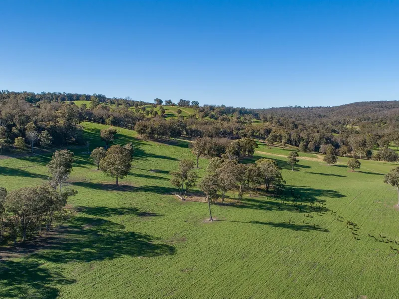 Outstanding listing in highly targeted grazing belt