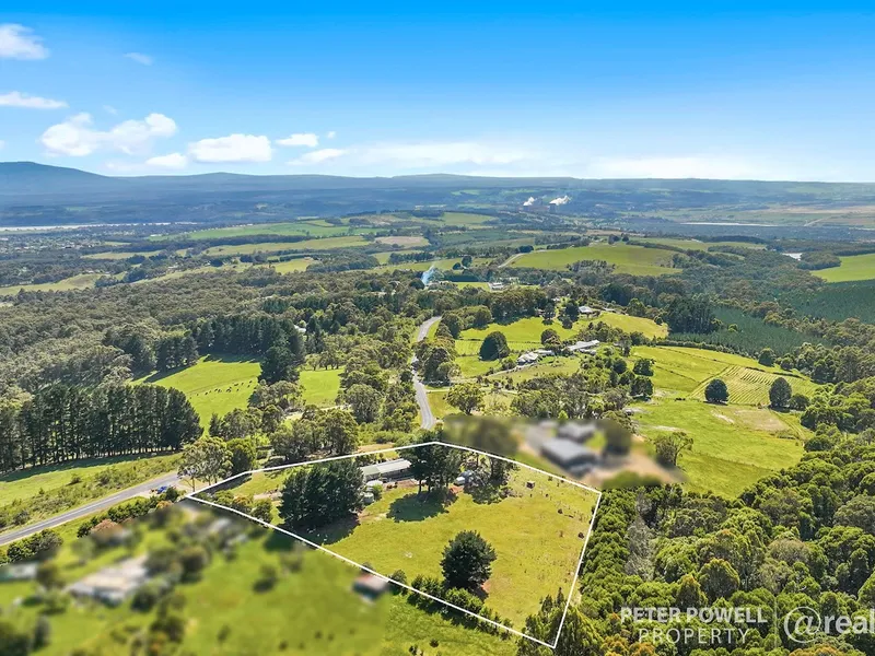 Superbly Set Out Lifestyle Property! Updated Home, Amazing Views and Shedding.